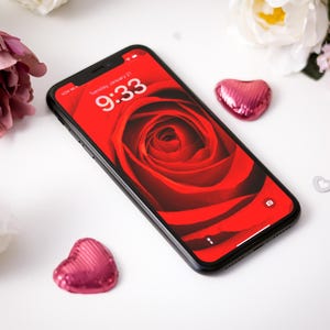 Red Rose iPhone Wallpaper Valentines Day Mobile Phone Wall Paper Digital Background Instant Download Photography Floral Art