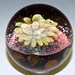 see more listings in the Marbles & Geodes section