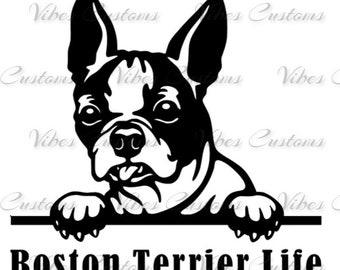 Boston Terrier life dog pet car decal, window, bumper sticker no background