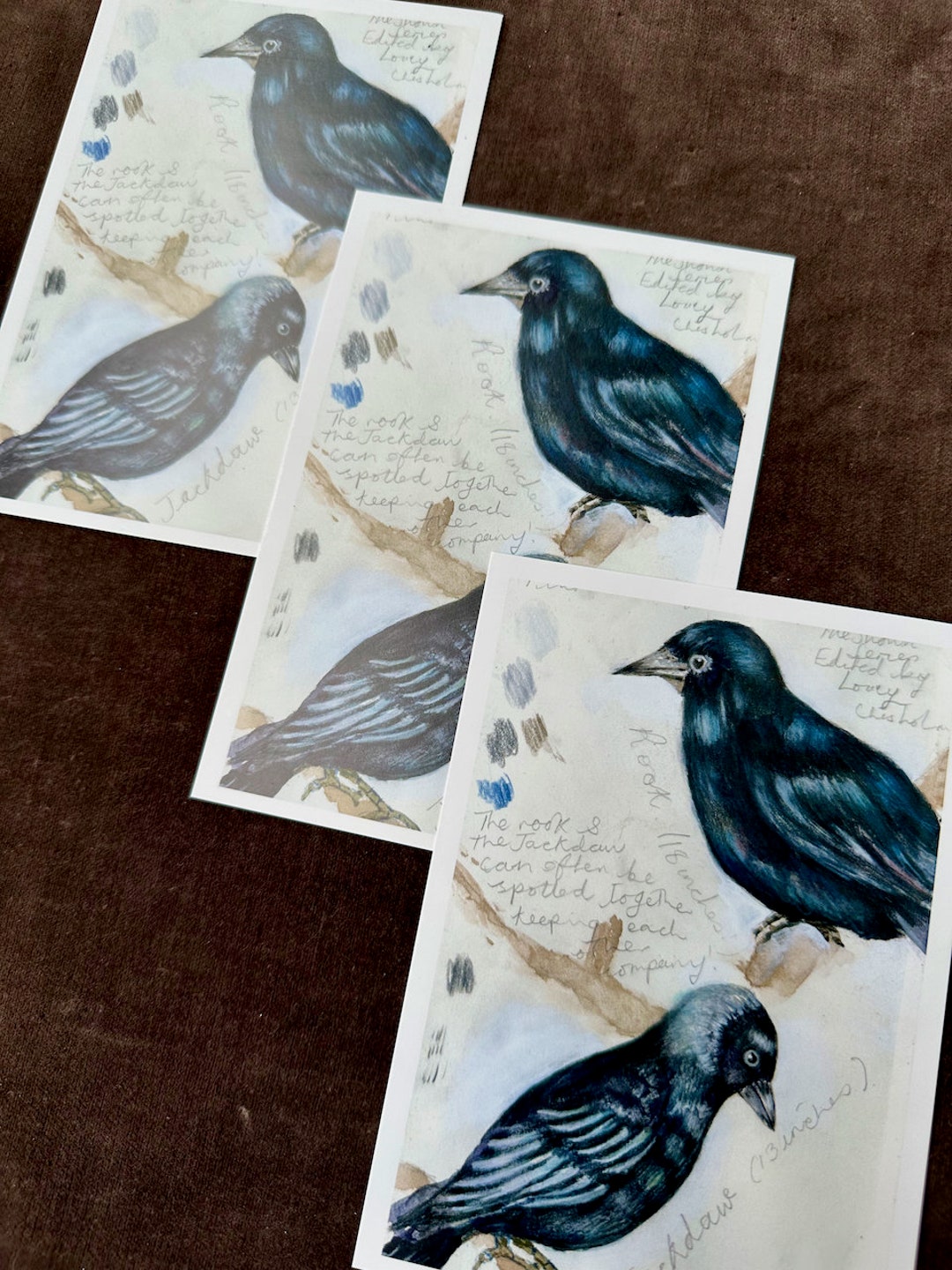 A6 Fine Art Print Postcard Size 'rook & Jackdaw' Painting for Sending, Framing or Journaling