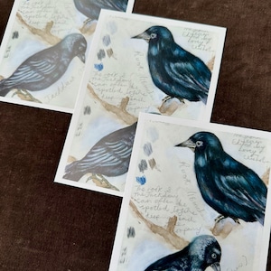 Impression d'art A6 au format carte postale - Peinture « Rook & Jackdaw » pour l'envoi, l'encadrement ou la tenue d'un journal
