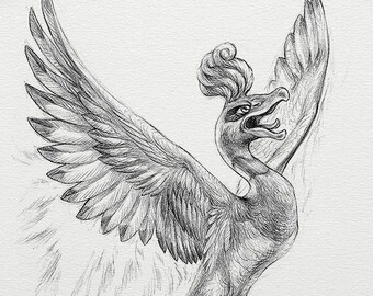 Ho-Oh - wydruk 8 x 10" (rysunek pokemon, sztuka, grafika, gry, Nintendo, dekoracja)
