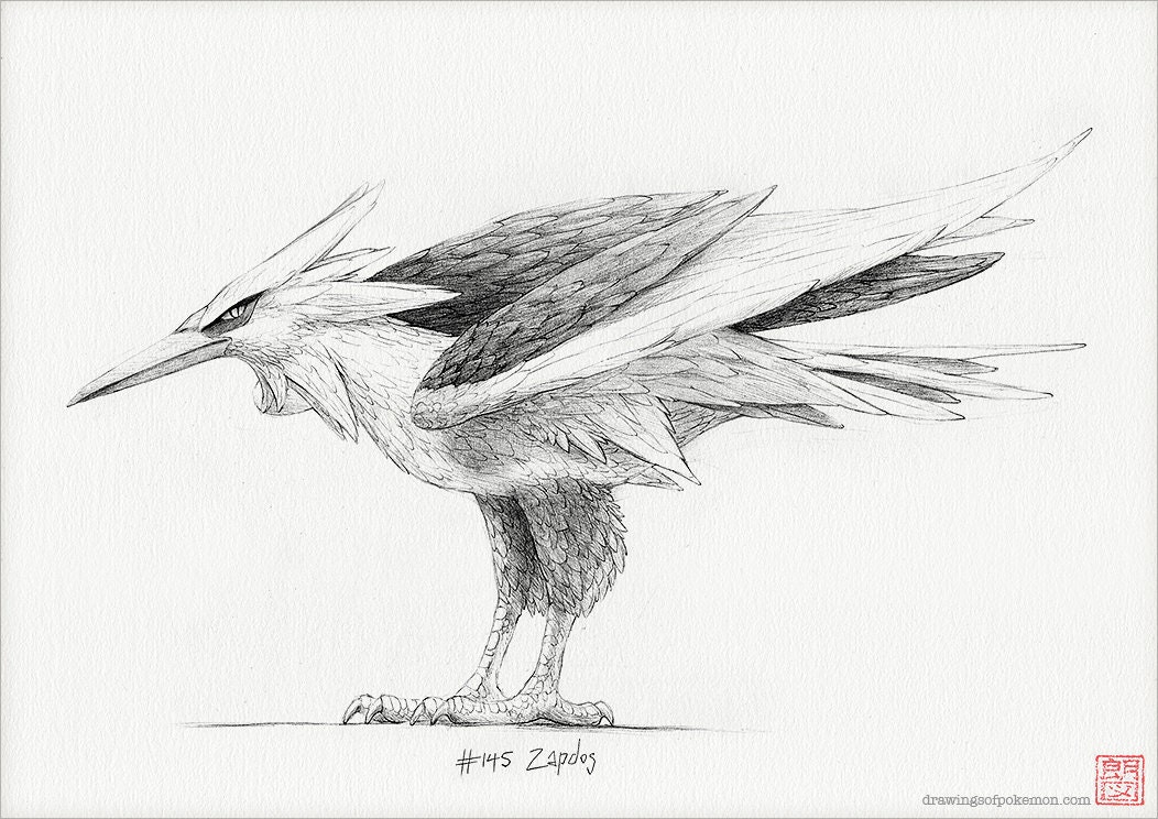 フリーザー、サンダー、ファイヤー - 伝説の鳥ポケモントリオ フリーザー、サンダー、ファイヤー - 伝説の鳥ポケモントリオ