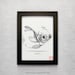 Popplio 5 X 7 Print pokemon Drawing, Art, Artwork, Gaming, Nintendo, Water, Decor - Etsy
