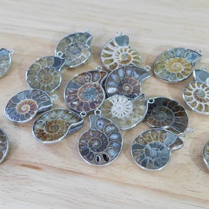 May include: A collection of fossilized ammonite pendants with silver-colored metal frames. The pendants display intricate spiral patterns in shades of brown, tan, and gray. The pendants are arranged on a light-colored wooden surface.