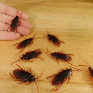 Small Realistic Fake Cockroaches, 1.75&quot; (roach imitation halloween decoration prank joke scary insect bug creepy gross science plastic