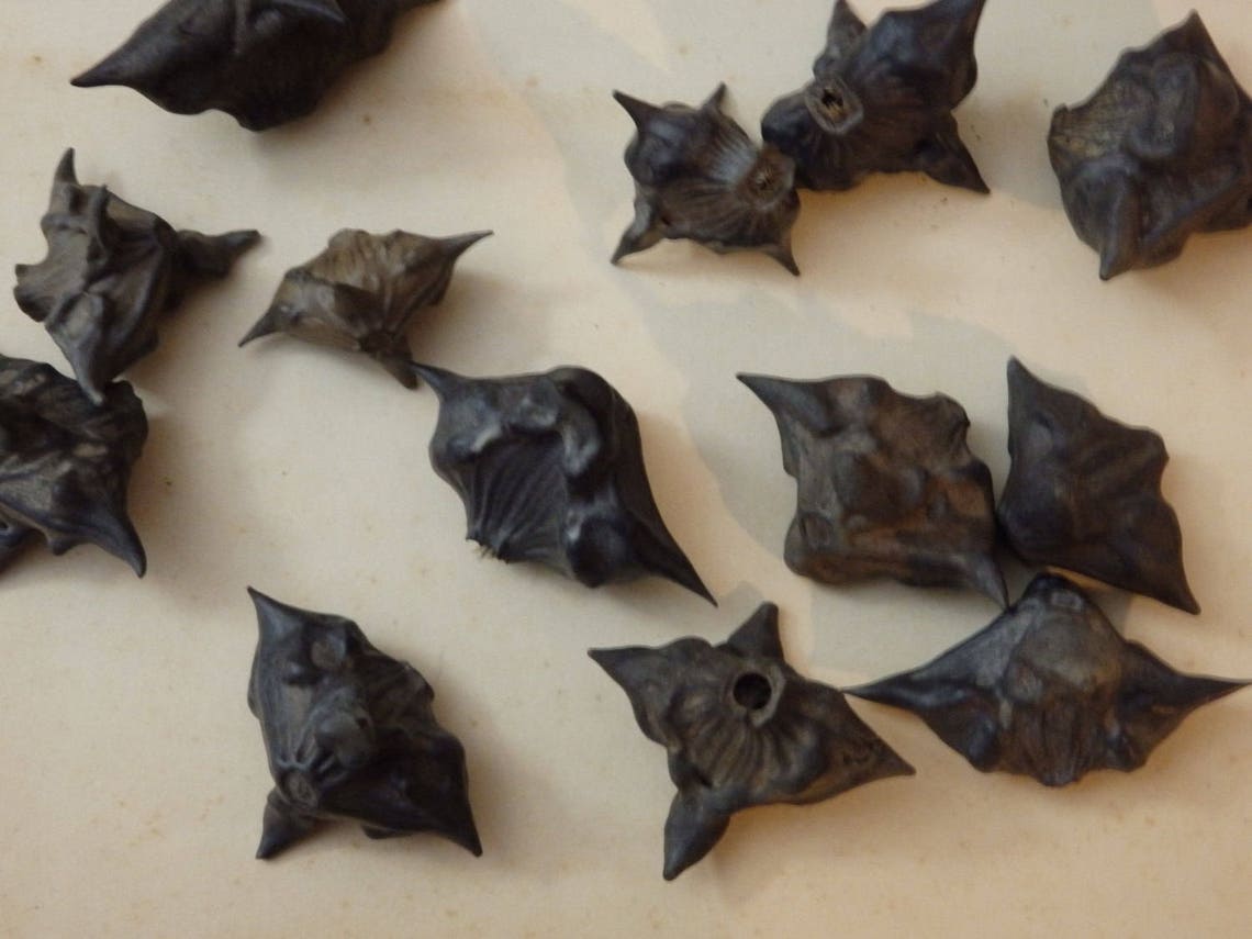 Water Caltrop Chestnut Bat Nut Devil Pod Seed Pods magic Etsy
