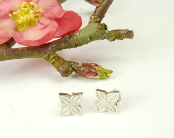 Anahita ear studs in silver