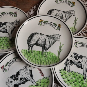 Set of 5 vintage french cheese plates. Cow Sheep Roquefort Camembert.