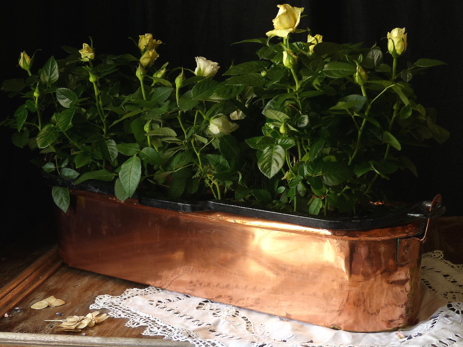 Bouilloire à Poisson Vintage Français Cuivre. Pot de Fleurs en Boîte Poêle Rustique Cuivre Campagne 