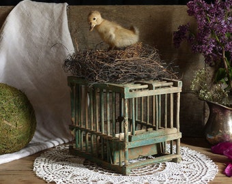 Antique french rustic wood bird cage. Chickens cage. Chippy green paint. French country home decor. Country living. Rustic farmhouse decor