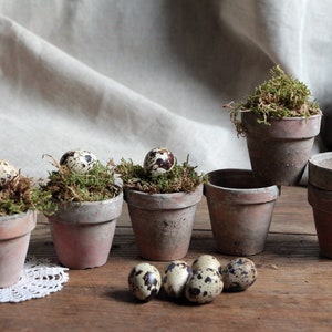 Set of 7 Vintage french small clay pots. Garden Wedding. Indoor garden. French country. Rustic tealights. Farmhouse. Conservatory seed pots image 1