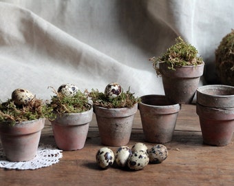 Ensemble de 7 petits pots en argile vintage français. Mariage dans le jardin. Jardin intérieur. Pays de France. Photophores rustiques. Ferme. Pots de graines de véranda