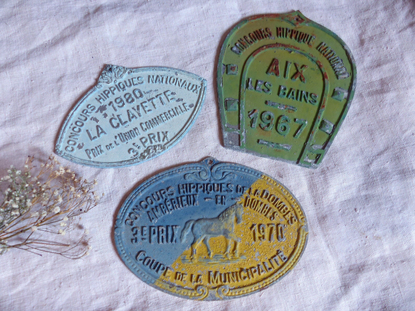 Ensemble de 3 Français Plaques Remise Prix Équestres Vintage. Décor Équestre. Chevaux. Bleu, Jaune,