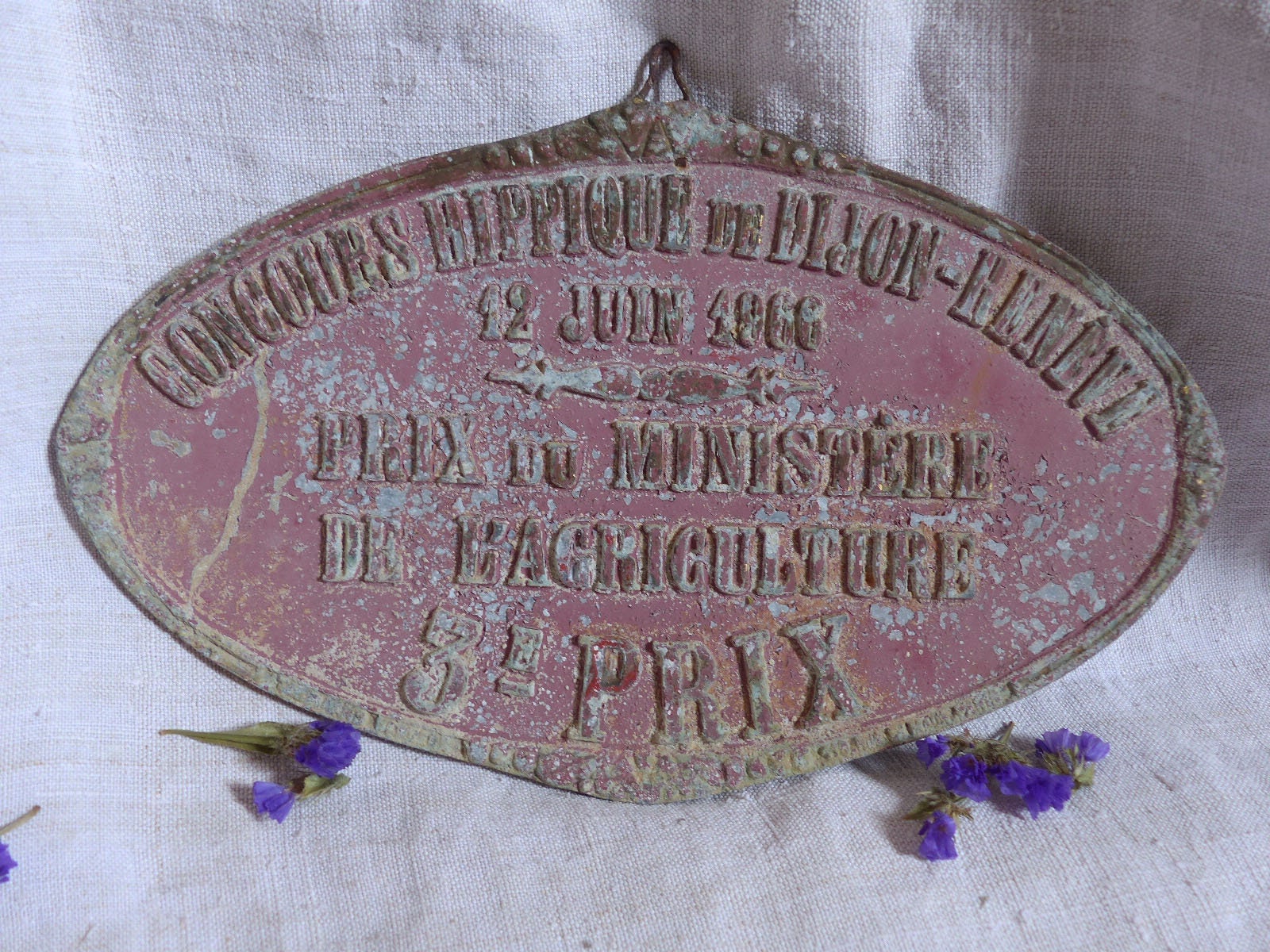 Rose Foncé Français Plaque de Remise Des Prix Agricoles Vintage. Décor Champêtre. Décor Ferme Rustiq