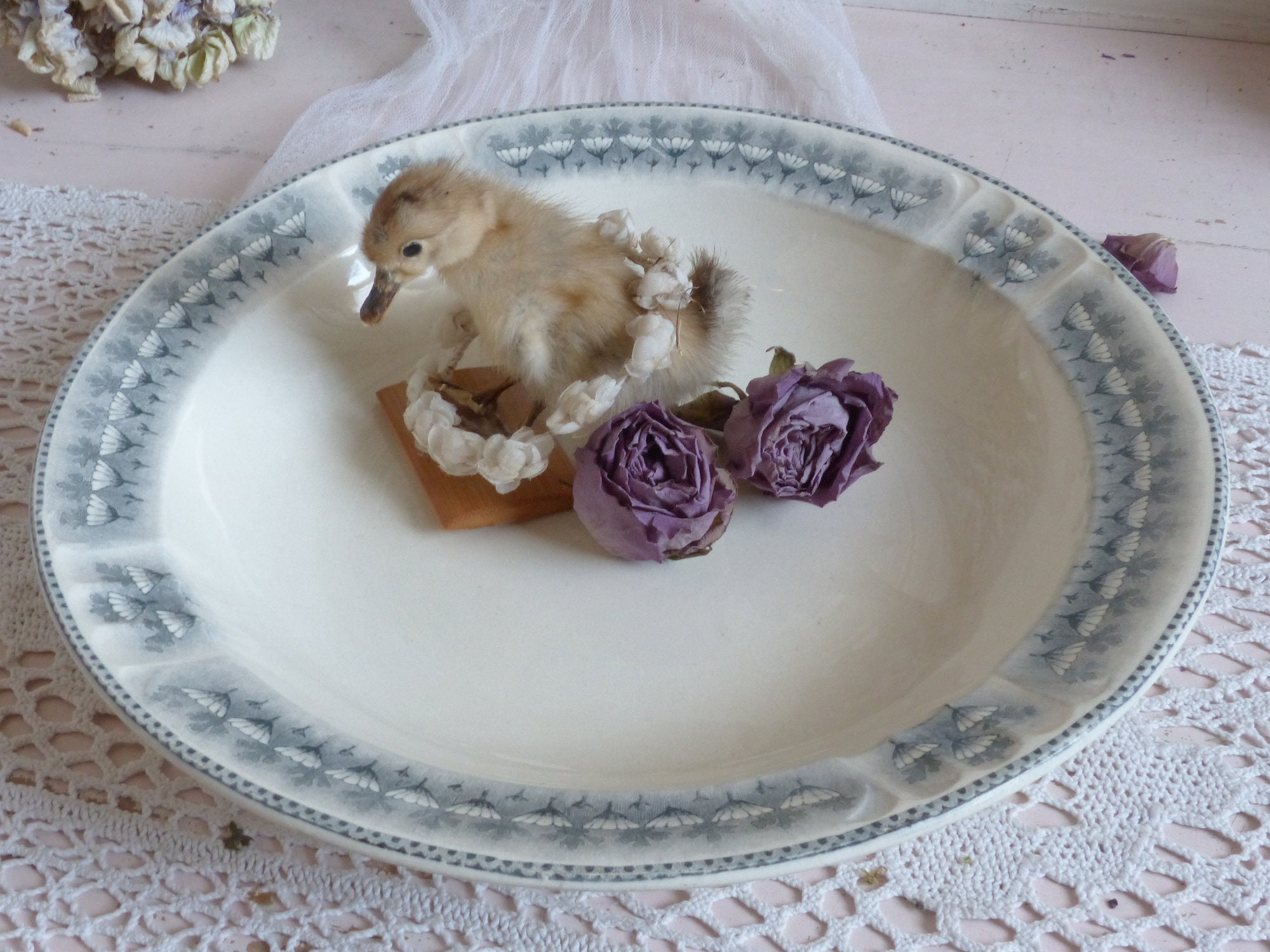 Antique Français gris
