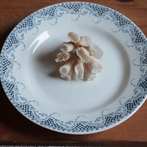 Antique french blue transferware short cake stand. Footed cake plate. Cookie display Bakery Pastry stand Pie stand Fruit stand