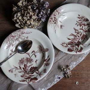 Puede incluir: Dos platos de cerámica blanca vintage con diseños florales marrones. Los platos tienen un borde elevado y un delicado patrón floral. Un plato tiene una cuchara de plata encima.