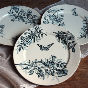 Set of 3 Antique french teal transferware dessert plates. Dark teal transferware. Jasmine. Butterflies. Blue green transferware.
