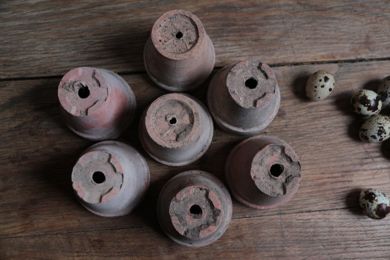 Set of 7 Vintage french small clay pots. Garden Wedding. Indoor garden. French country. Rustic tealights. Farmhouse. Conservatory seed pots image 6