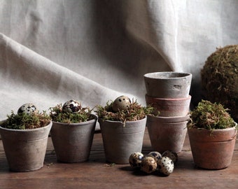 Ensemble de 7 petits pots en argile vintage français. Mariage dans le jardin. Jardin intérieur. Pays de France. Photophores rustiques. Ferme. Pots de graines de véranda