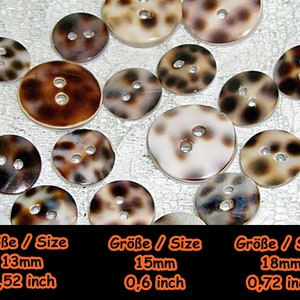 Mother-of-pearl buttons, mother mother-of-pearl, mother-of-pearl, button, button, shell, nature, casual, Africa, leopard, 5-08 image 2