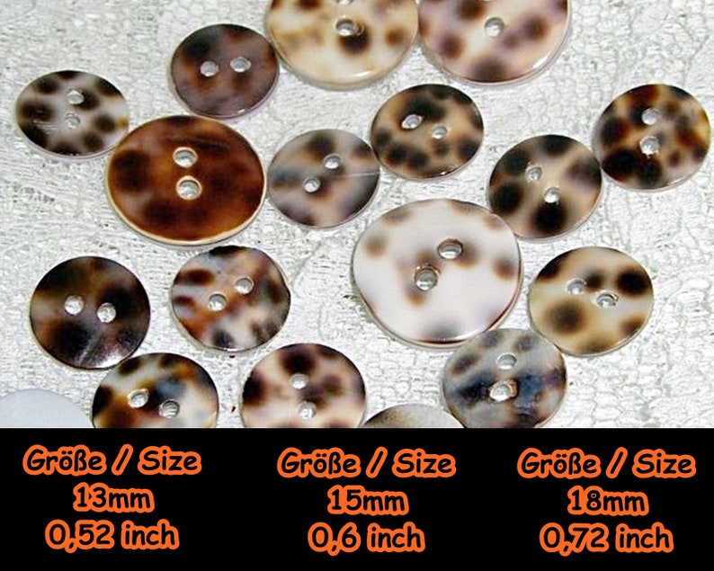 Mother-of-pearl buttons, mother mother-of-pearl, mother-of-pearl, button, button, shell, nature, casual, Africa, leopard, 5-08 image 2