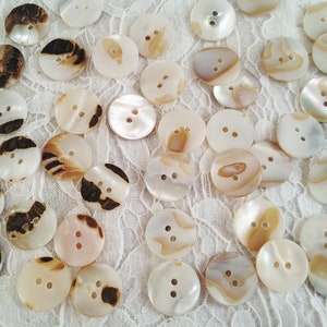 Mother-of-pearl buttons, mother mother-of-pearl, mother-of-pearl, button, button, shell, nature, casual, 5-15b image 4