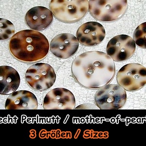 Mother-of-pearl buttons, mother mother-of-pearl, mother-of-pearl, button, button, shell, nature, casual, Africa, leopard, 5-08 image 1