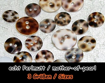 Mother-of-pearl buttons, mother mother-of-pearl, mother-of-pearl, button, button, shell, nature, casual, Africa, leopard, 5-08