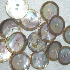 Perlmutt-Knöpfe, Perlmutt, Perlmuttknopf, mother-of-pearl, Knopf, Button, Muschel, Natur, Casual, 5-07 Bild 2