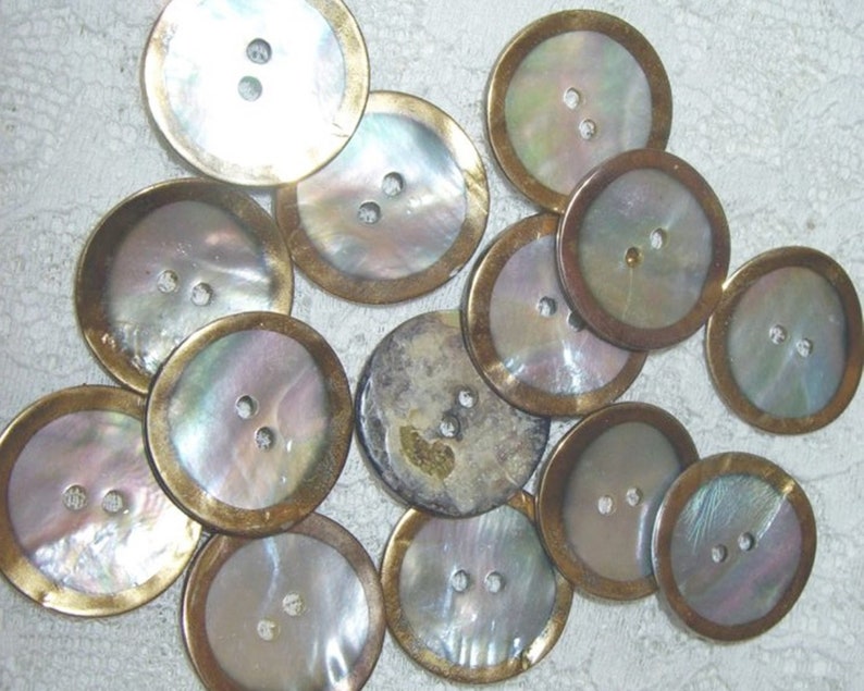 Mother-of-pearl buttons, mother-of-pearl, mother-of-pearl, button, button, shell, nature, casual, 5-07 image 2