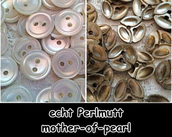 Perlmutt-Knöpfe, Mother of Pearl, Button,  5-02+61