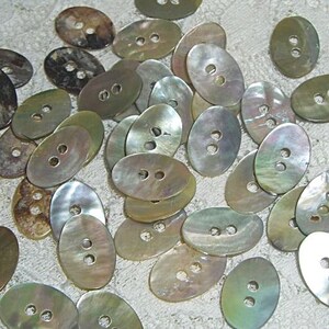 Mother-of-pearl buttons, mother-of-pearl button, button, button, shell, nature, casual, 5-05 image 2