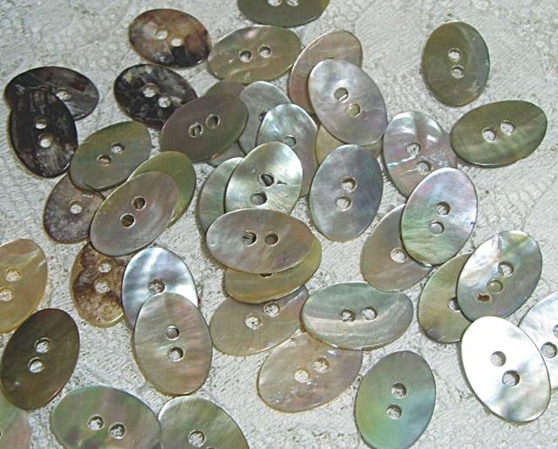 Mother-of-pearl buttons, mother-of-pearl button, button, button, shell, nature, casual, 5-05 image 2