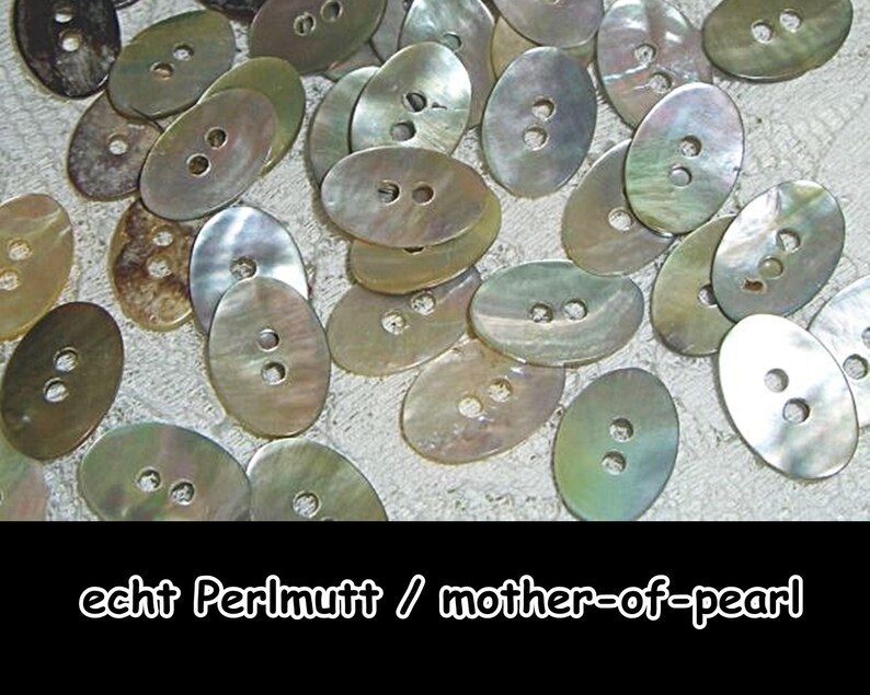 Perlmutt-Knöpfe, Perlmutt, Perlmuttknopf, mother-of-pearl, Knopf, Button, Muschel, Natur, Casual, 5-05 Bild 1