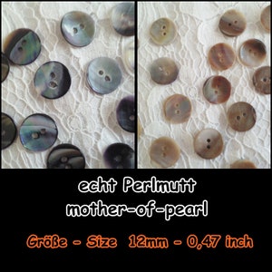 Mother-of-pearl buttons, mother-of-pearl, mother-of-pearl, button, button, shell, natural, casual, 5-03b 12 mm image 1