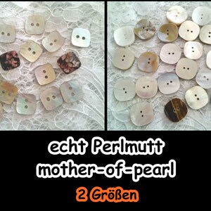 Mother-of-pearl buttons, mother mother-of-pearl button, button, button, shell, nature, casual, 5-205 image 1