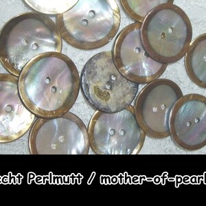 Perlmutt-Knöpfe, Perlmutt, Perlmuttknopf, mother-of-pearl, Knopf, Button, Muschel, Natur, Casual, 5-07 Bild 1