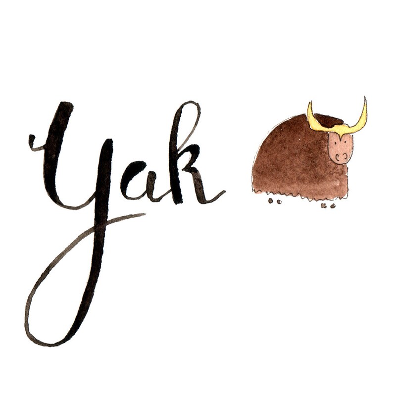Y like Yak Learn english with fun What animal name starts Etsy