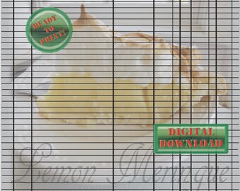 beignets check register sheets black and white debit checking etsy