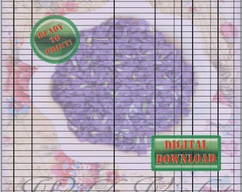 beignets check register sheets black and white debit checking etsy