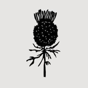 Thistle linocut - scottish themed art, thistle print, scottish gift