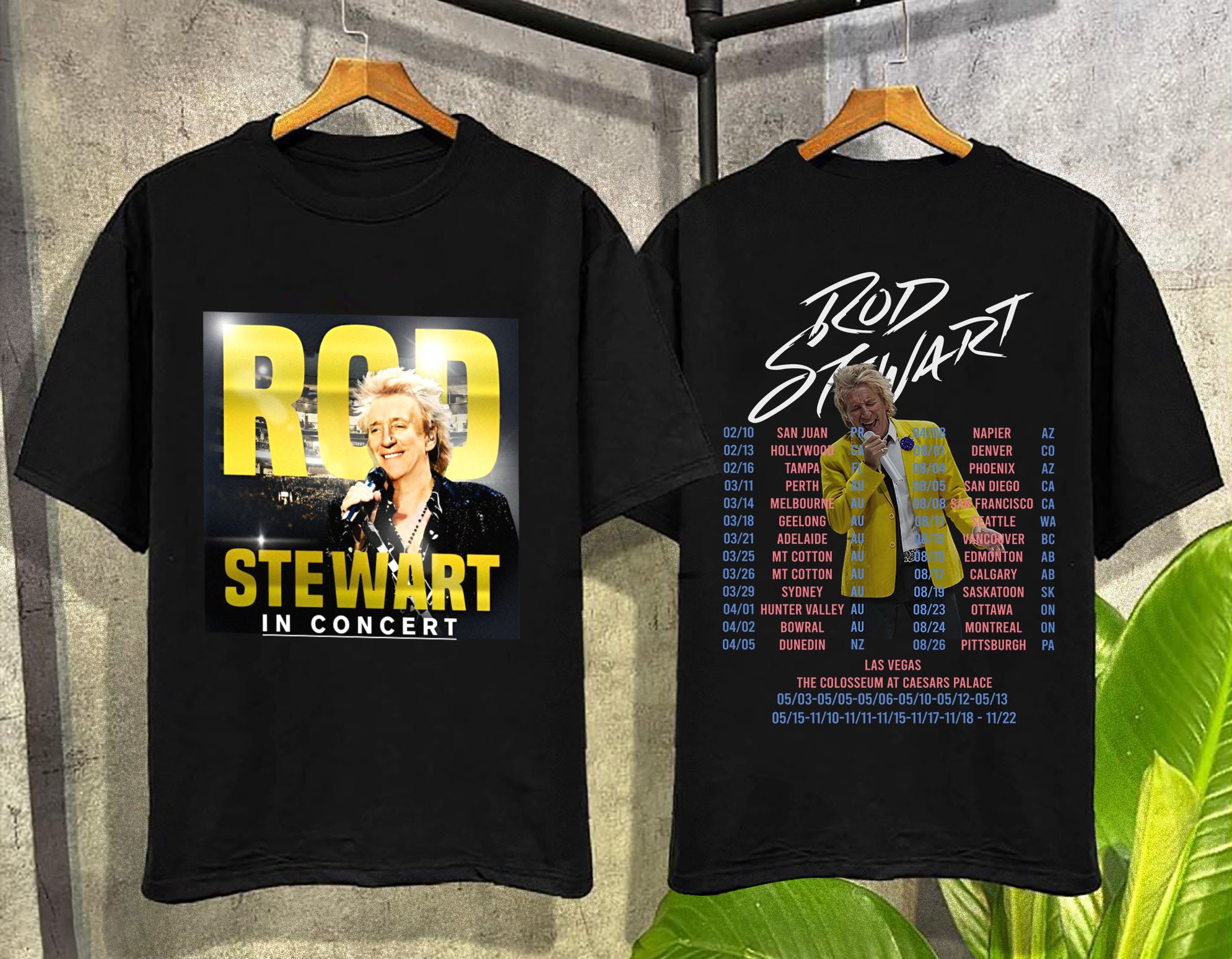 Rod Stewart The Hits Tour 2023 T-Shirt, Rod Steward In Concert 2023 T-Shirt