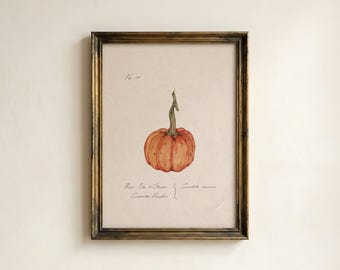Vintage Pumpkin Print, Antique Botanical Art, Fall Wall Decor (Digital Download)