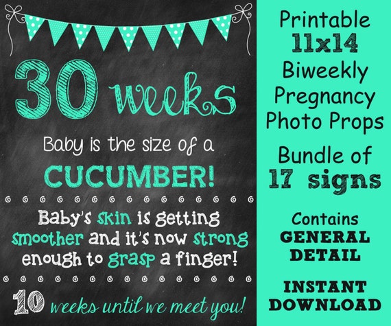Printable Biweekly Pregnancy Countdown Photo Prop With General Detail about Baby // Size 11x14 // INSTANT DOWNLOAD Il_570xn