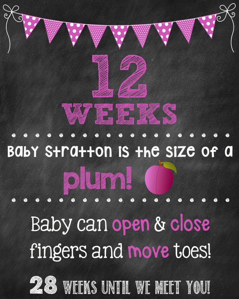 Pregnancy Countdown Chalkboard Photo Prop Sign// 16x20// Etsy