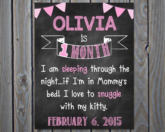 Baby's First Year Photo Prop Sign - Set of 12 Monthly Photo Prop Il_570xn
