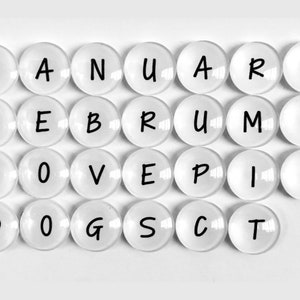 May include: White round tiles with black letters spelling out the words "JANUARY FEBRUARY LOVE DOGS" and "MARCH APRIL PIE  ECT".