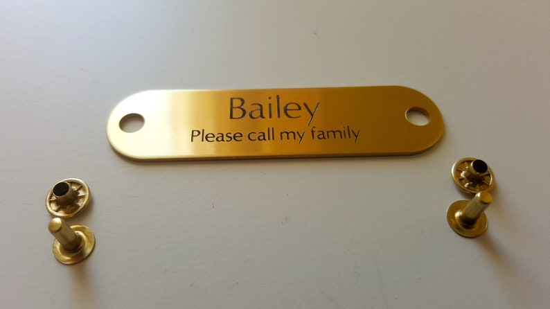 BRASS RIVET Pet TAG Id For Dog Collar Name Engraved Plate with Rivet Set image 1